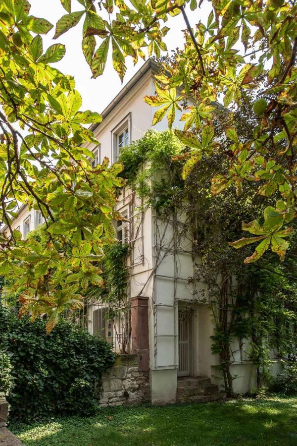 Ferienwohnung Am Dom Naumburg  Zewnętrze zdjęcie