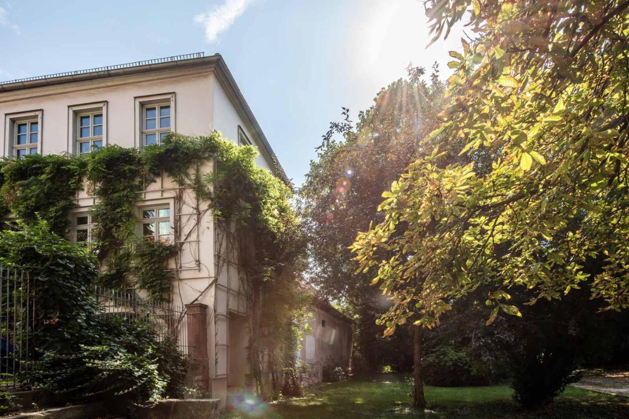 Ferienwohnung Am Dom Naumburg  Zewnętrze zdjęcie
